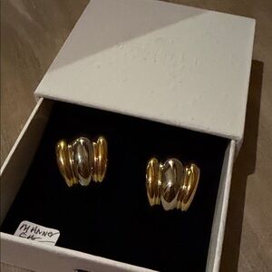Manner Elegant Gold and Silver Earrings New in Box Gift able Item